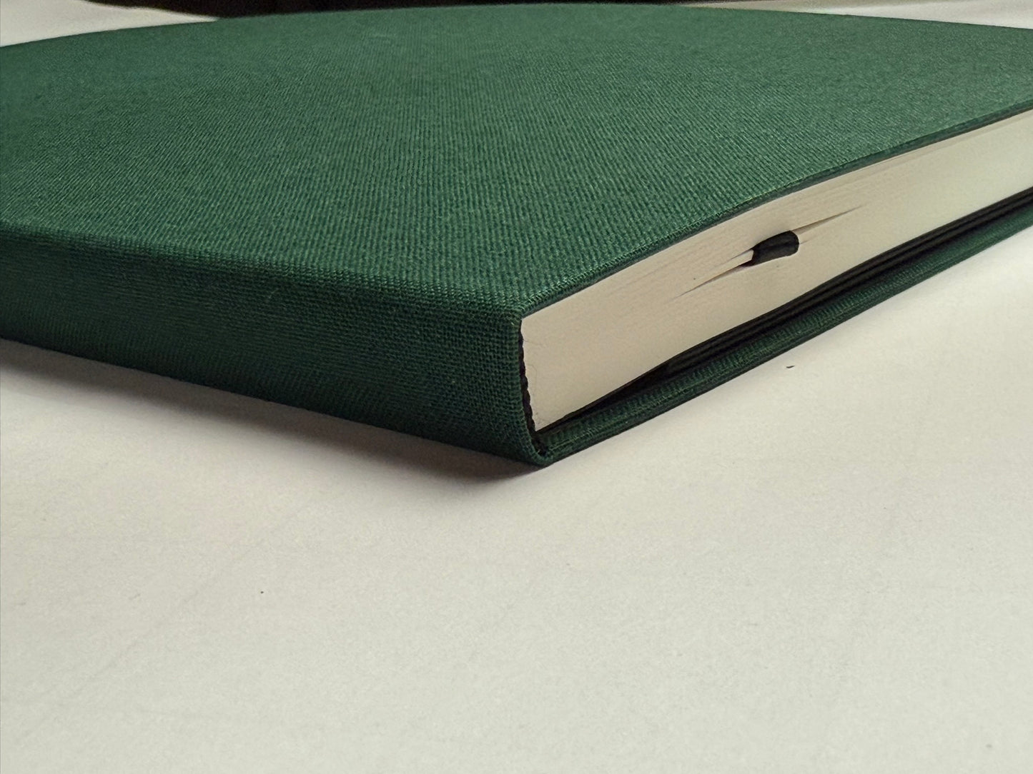 Einzelstück: Lamy-Set in Grün
